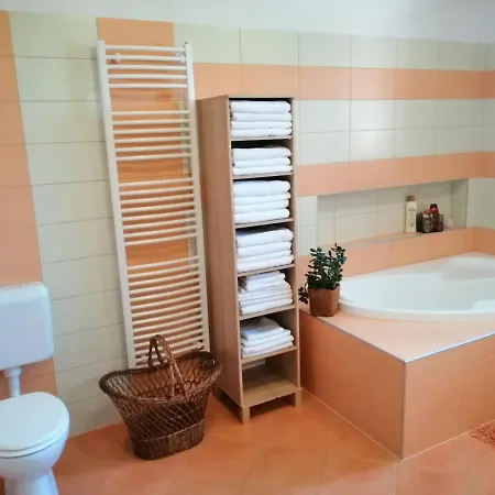 Vizaknai Apartmanhaz * Szekesfehervar