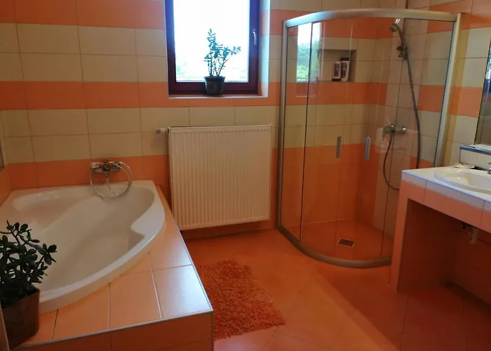 Vizaknai Apartmanhaz 아파트