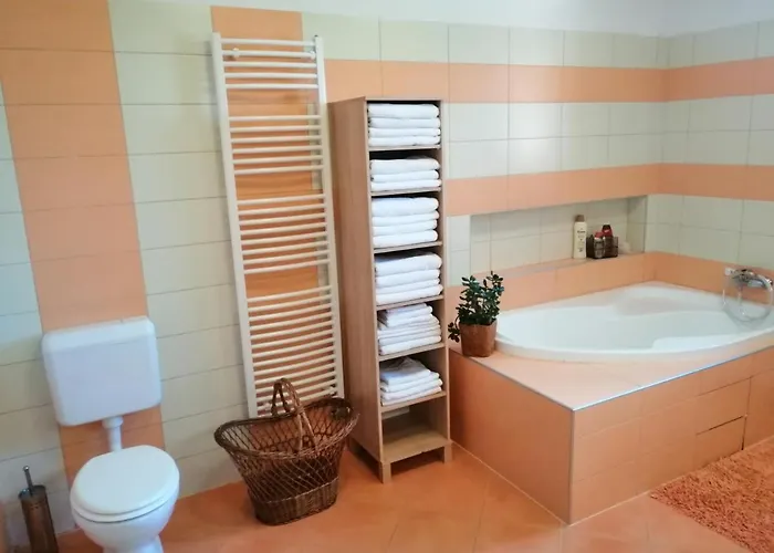 Vizaknai Apartmanhaz * セーケシュフェヘールヴァール
